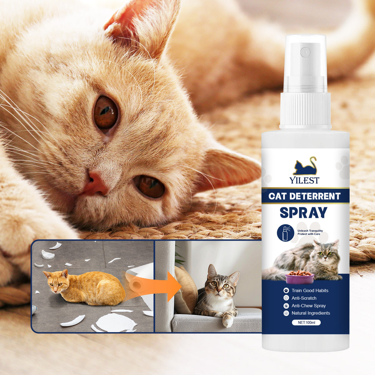 Anti-scratch Spray Indoor Restricted Area For Cats