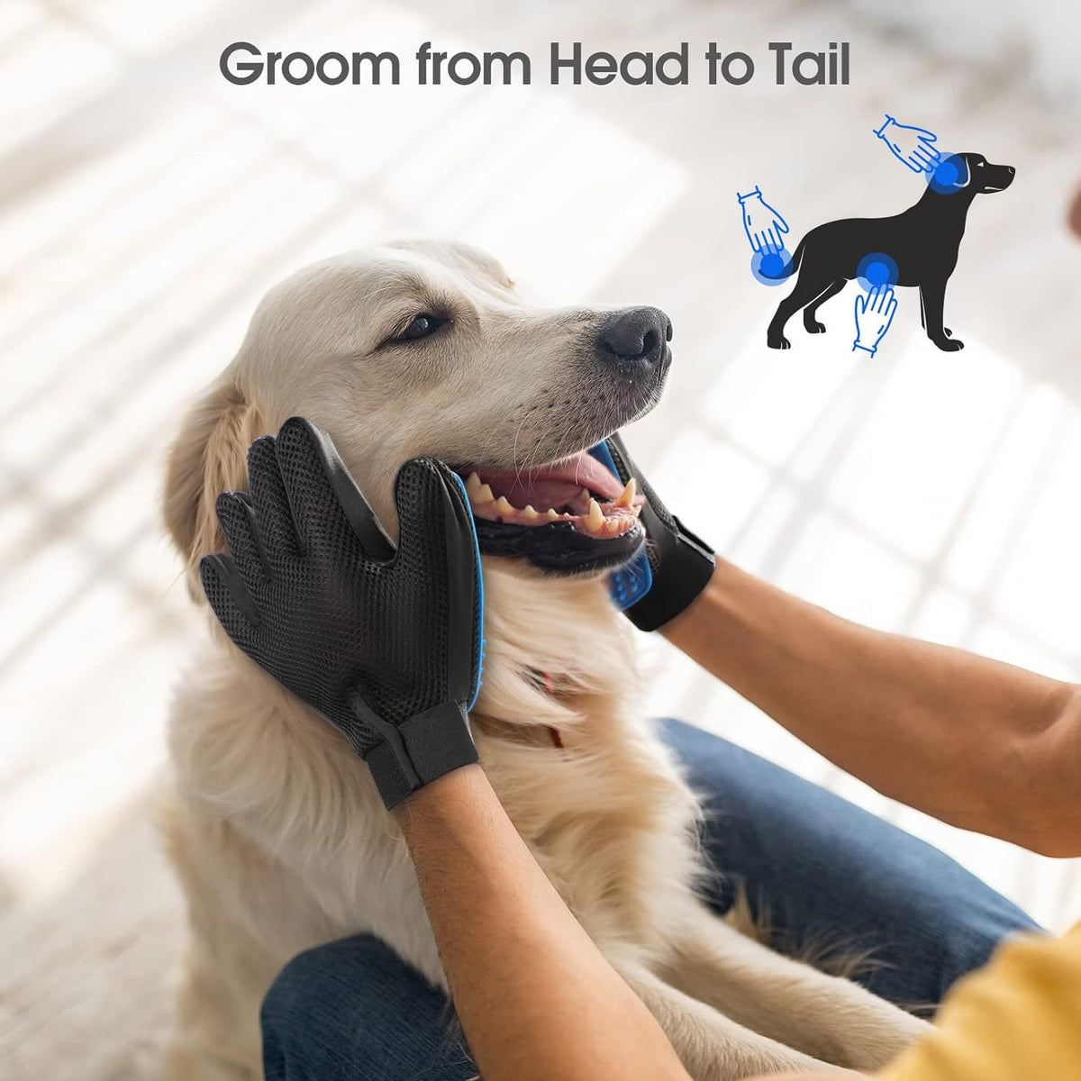 Grooming Gloves/Brushes