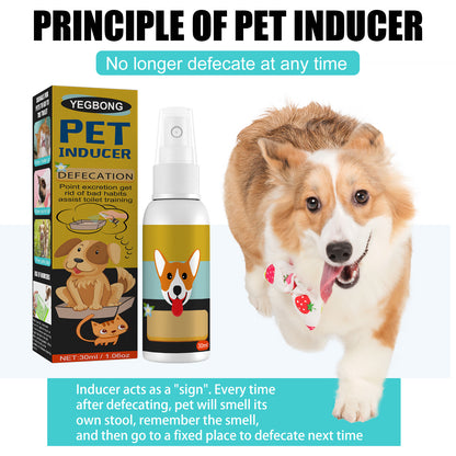 Pet Feces Positioning Pet Cat Dog Positioning Defecation Inducer