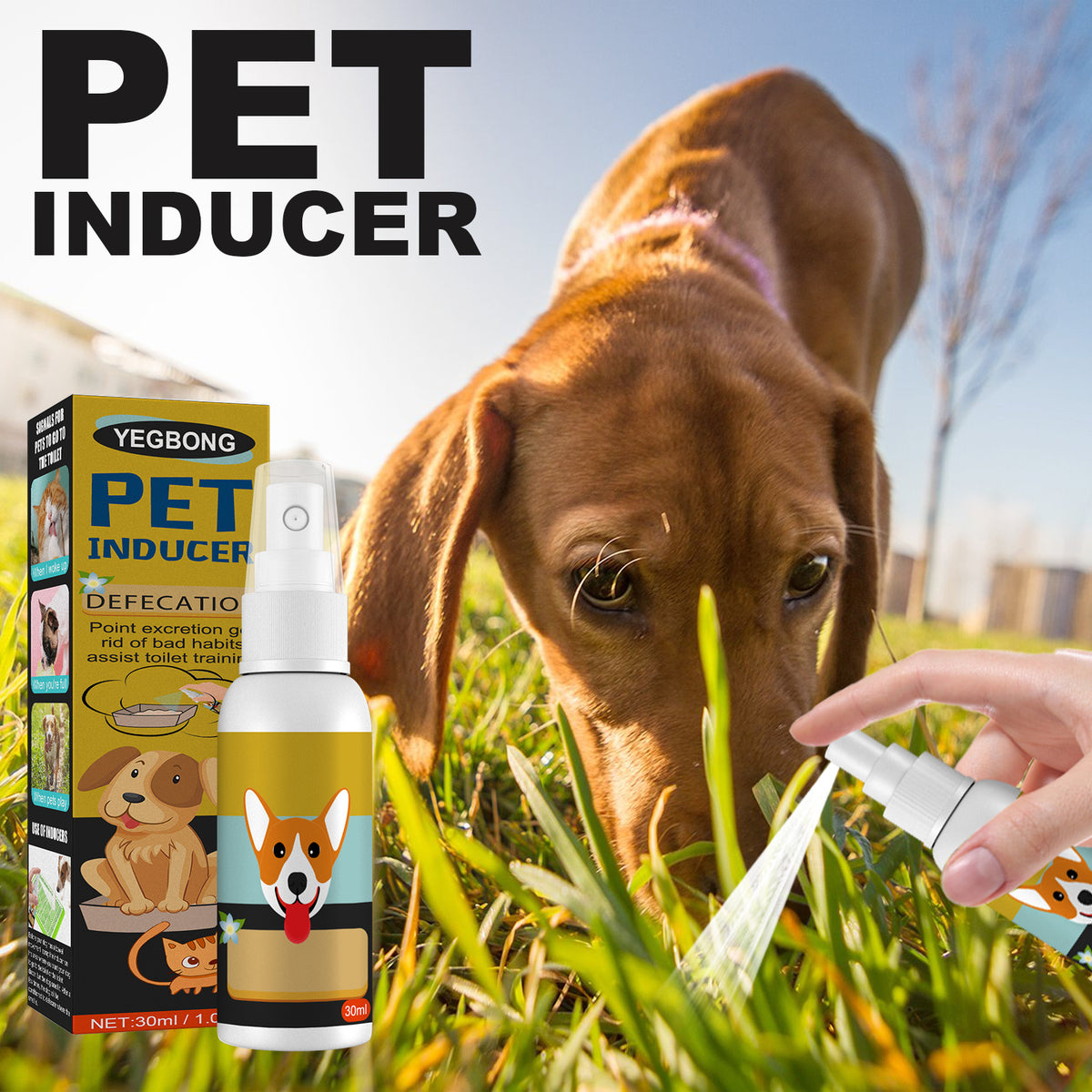 Pet Feces Positioning Pet Cat Dog Positioning Defecation Inducer